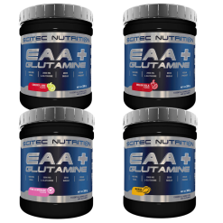 Fitnessgrossisten EAA + Glutamine - 300 G