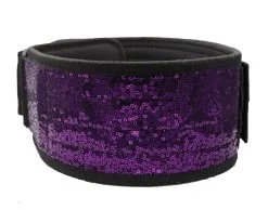 FlexFit.no FlexFit Competition - Sassy Edt